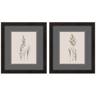 Paragon Delicate Stems 15"w X 17"h Framed Art Set Of 2 In Gray