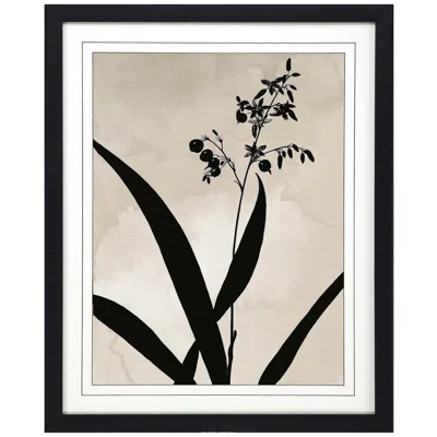Paragon Dianella 33"w X 41"h Framed Art