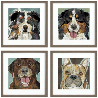 Paragon Dog Collage I 21"w X 21"h Framed Art Set Of 4 In Multi