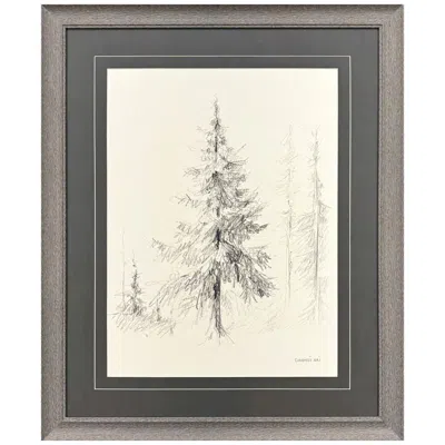 Paragon Elegant Pine Ii 27"w X 33"h Framed Art