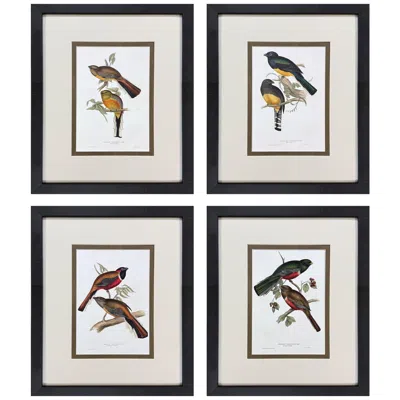 Paragon Elegant Trogons 17"w X 21"h Traditional Framed Art Set Of 4