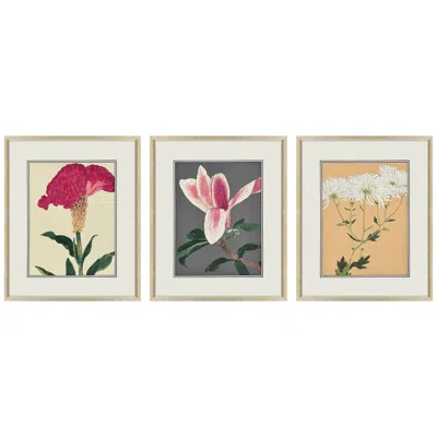 Paragon Enchanted Blooms I 19"w X 23"h Framed Art Set Of 3