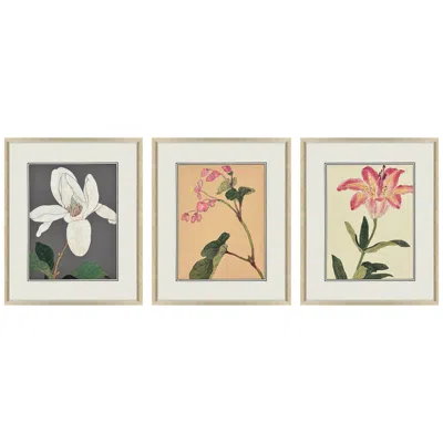 Paragon Enchanted Blooms Ii 19"w X 23"h Framed Art Set Of 3