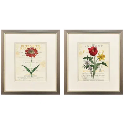 Paragon Favorite Flowers Ii 14"w X 16"h Framed Art - Set Of 2