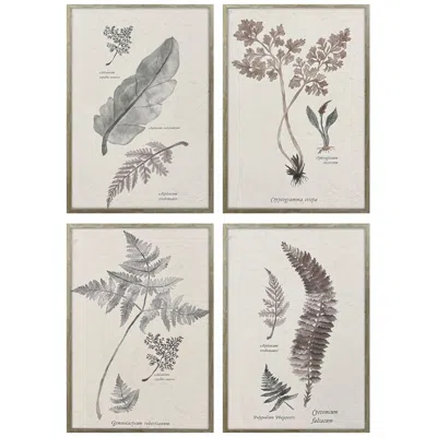 Paragon Fern Study 17"w X 25"h Modern Framed Art Set Of 4