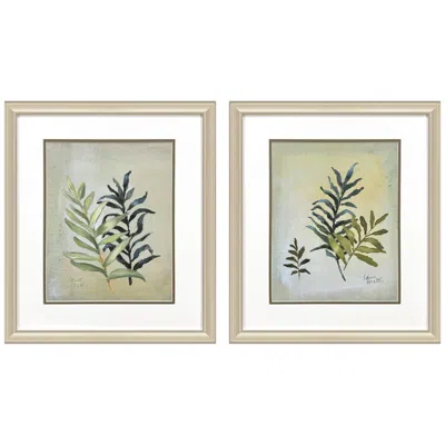 Paragon Ferns Aglow 18"w X 21"h Framed Art Set Of 2