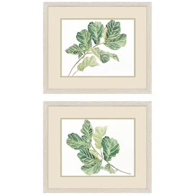 Paragon Fiddle Fig Leaf 20"w X 17"h Framed Art Set Of 2