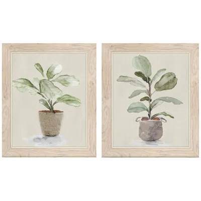 Paragon Fiddle Fig Tree 14"w X 17"h Framed Art Set Of 2