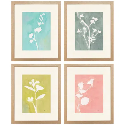 Paragon Field Notes 20"w X 24"h Framed Art - Set Of 4 In Multi