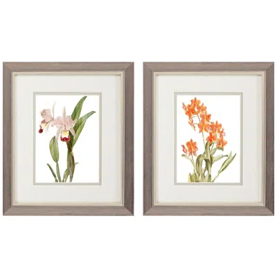Paragon Floral Beauty I 9"w X 11"h Framed Art Set Of 2