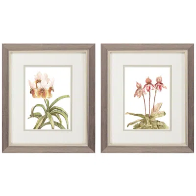 Paragon Floral Beauty Ii 9"w X 11"h Framed Art Set Of 2 In Brown