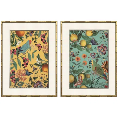 Paragon Floral Fruit Garden 23"w X 31"h Framed Art Set Of 2