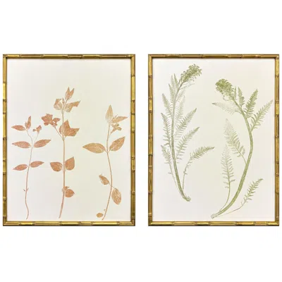 Paragon Floral Trace I 19"w X 25"h Framed Art Set Of 2
