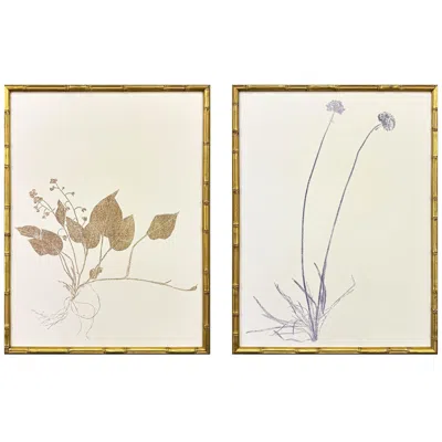 Paragon Floral Trace Ii 19"w X 25"h Framed Art Set Of 2
