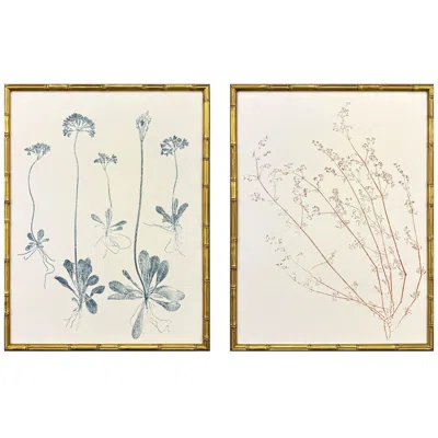 Paragon Floral Trace Iii 19"w X 25"h Framed Art Set Of 2