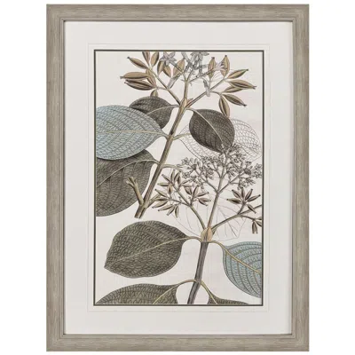 Paragon Flowering Botanical I 34"w X 46"h Framed Wall Art