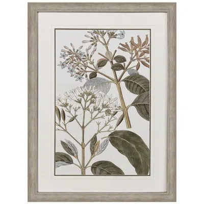 Paragon Flowering Botanical Ii 34"w X 46"h Framed Wall Art