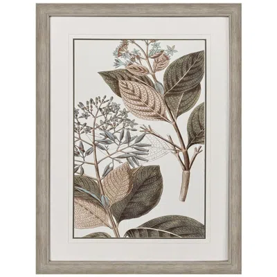 Paragon Flowering Botanical Iii 34"w X 46"h Framed Wall Art