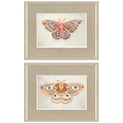 Paragon Forest Moth 24"w X 19"h Framed Art Set Of 2