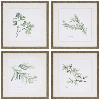 Paragon Fresh Herbs 17"w X 17"h Framed Art Set Of 4