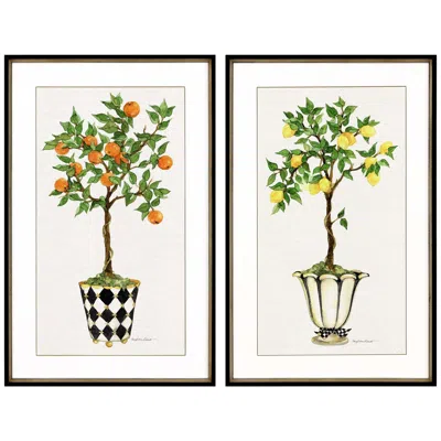 Paragon Fruit Topiary 40" High Framed Giclee Wall Art Set Of 2