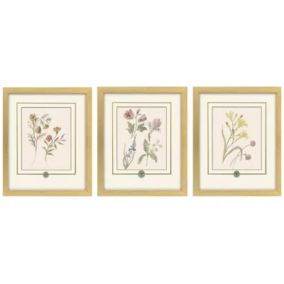Paragon Garden Study Ii 15"w X 18"h Framed Art - Set Of 3