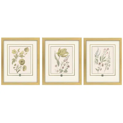 Paragon Garden Study Iii 15"w X 18"h Framed Art - Set Of 3