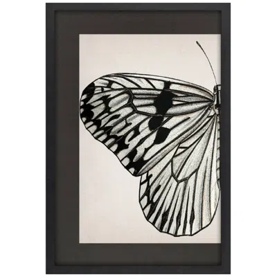 Paragon Grand Butterfly I 31"w X 47"h Framed Art