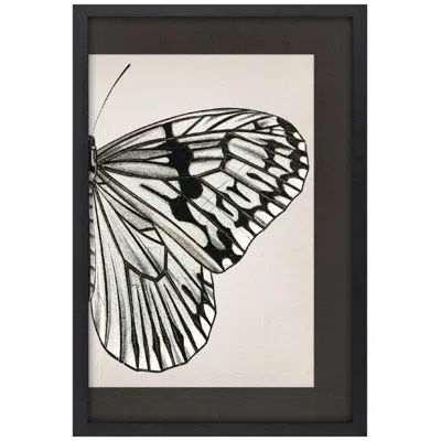 Paragon Grand Butterfly Ii 31"w X 47"h Framed Art In Black