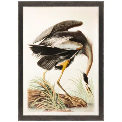 Paragon Great Blue Heron 55" High Framed Giclee Wall Art