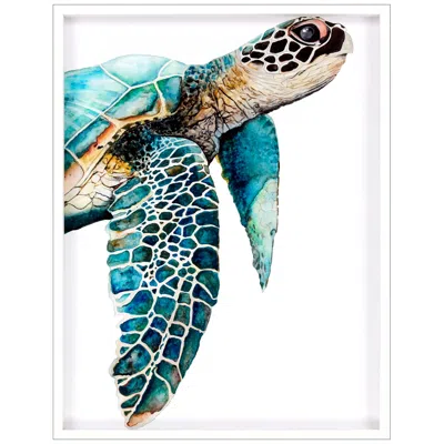 Paragon Great Sea Turtle 50" High Framed Shadow Box Wall Art