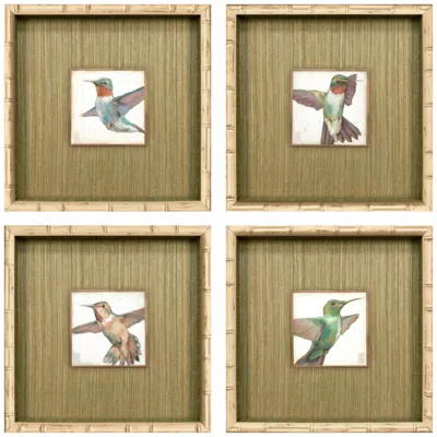 Paragon Hummingbird Flight 14"w X 14"h Framed Art - Set Of 4 In Brown