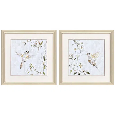Paragon Hummingbird Song 18"w X 18"h Framed Wall Art Set Of 2