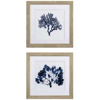 Paragon Indigo Coral B 19"w X 19"h Framed Art Set Of 2 In Brown