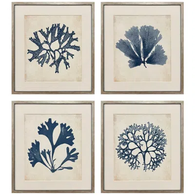 Paragon Indigo Sea Life 17"w X 19"h Coastal Framed Art Set Of 4