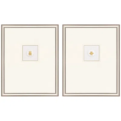 Paragon Insect Intaglio I 25" High 2-piece Framed Wall Art Set