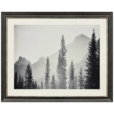 Paragon Kanaskis Country 51"w X 41"h Framed Art