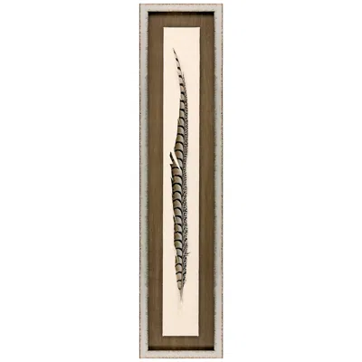 Paragon Lady Amhurst Feather 42" Wide Framed Wall Art