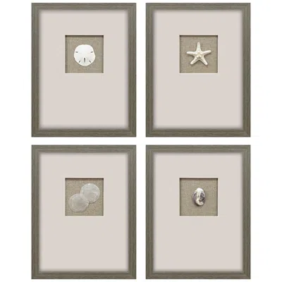 Paragon Natural Elements 14"w X 18"h Coastal Framed Art Set Of 4