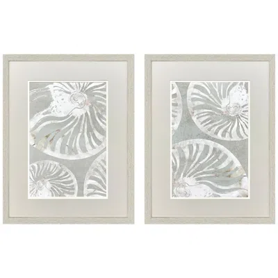 Paragon Nautilus Shell 19"w X 25"h Framed Art - Set Of 2 In Gray