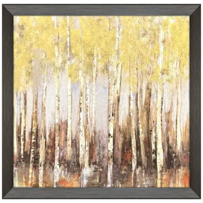 Paragon New Estate 40"w X 40"h Modern Framed Art