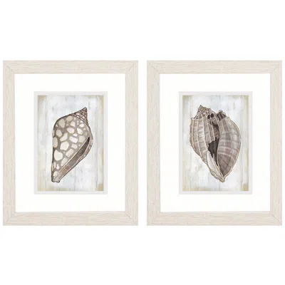 Paragon Ocean Cone 9"w X 11"h Framed Art Set Of 2