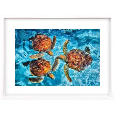 Paragon Ocean Turtles 46"w X 34"h Framed Art In Blue