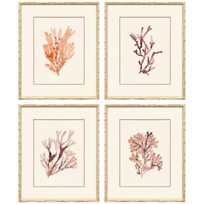 Paragon Ochre Coral 19"w X 23"h Framed Art - Set Of 4 In Brown