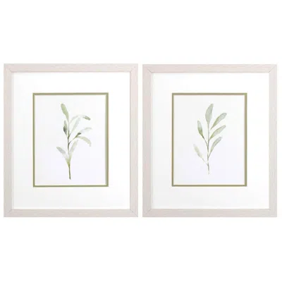 Paragon Olive Leaves 14"w X 16"h Framed Art Set Of 2 In White