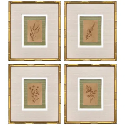 Paragon Organic Botanical I 15"w X 17"h Framed Art - Set Of 4 In Brown