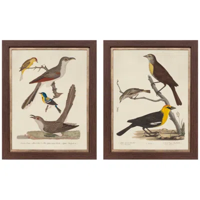 Paragon Ornithology I 22"w X 28"h Framed Art - Set Of 2 In Multi