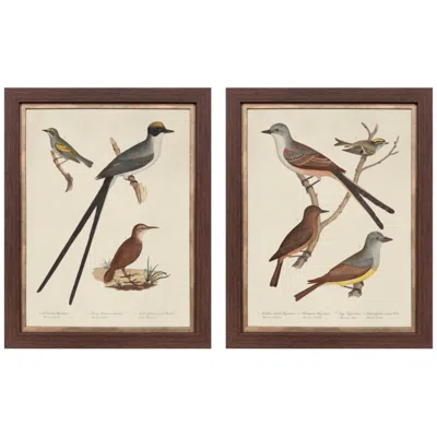 Paragon Ornithology Ii 22"w X 28"h Framed Art - Set Of 2 In Brown