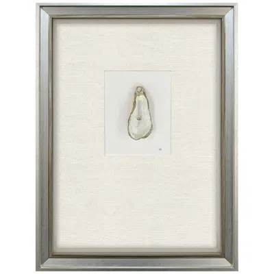 Paragon Oyster In Paradise Iii 19"w X 26"h Framed Art