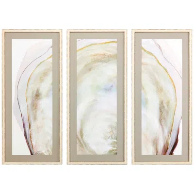 Paragon Oyster Shell 41" High 3-piece Framed Giclee Wall Art Set